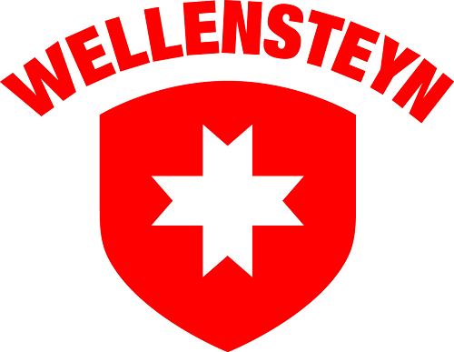 Логотип Wellensteyn